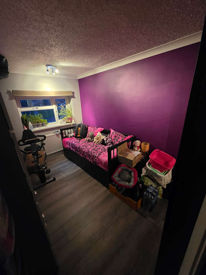 Photo of David's room