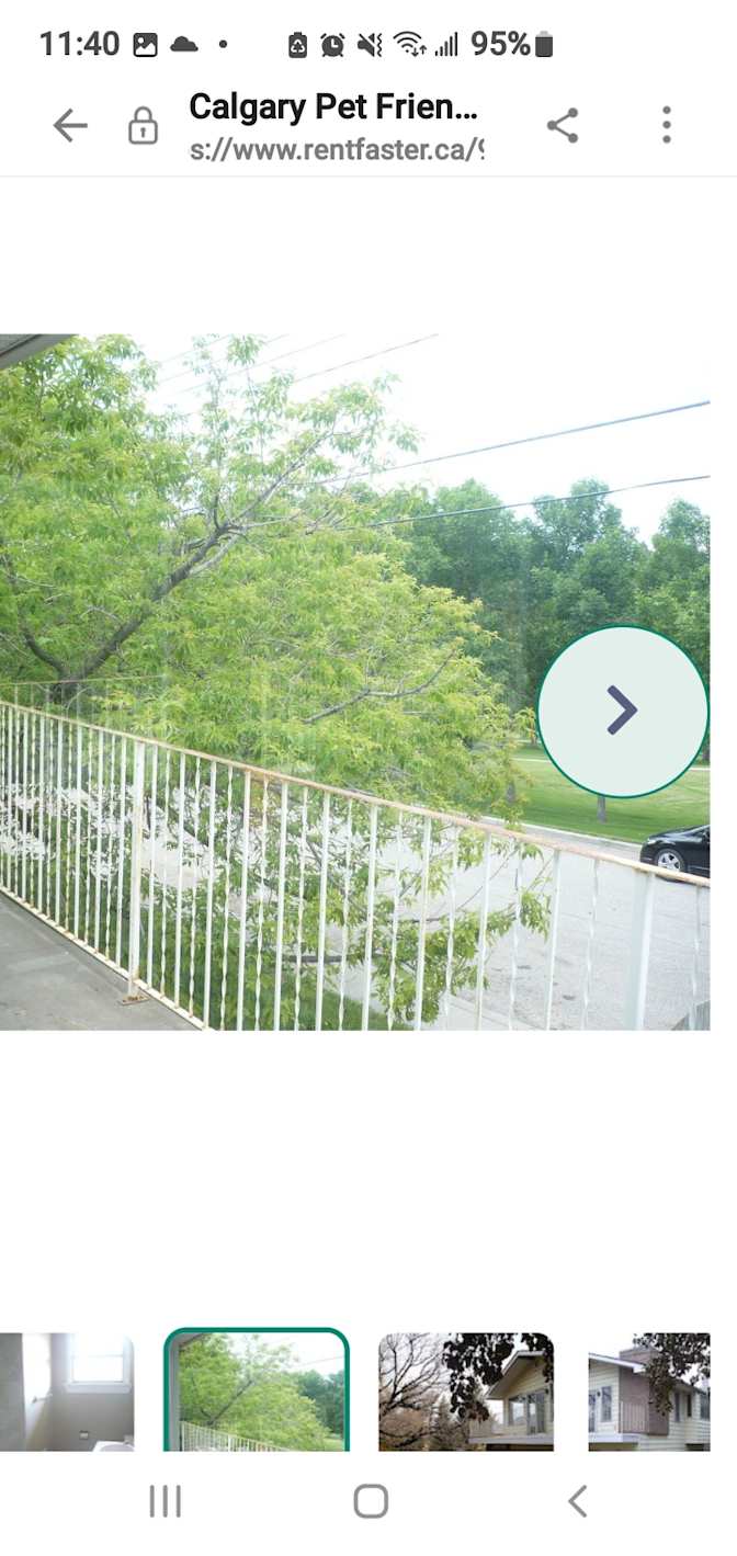 Photo of William's room