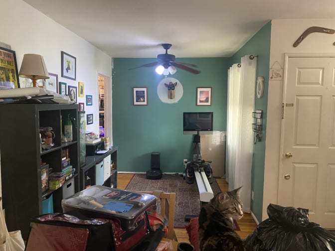 Photo of Kit's room