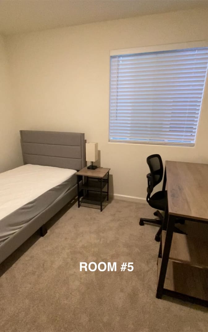 Photo of Liza's room
