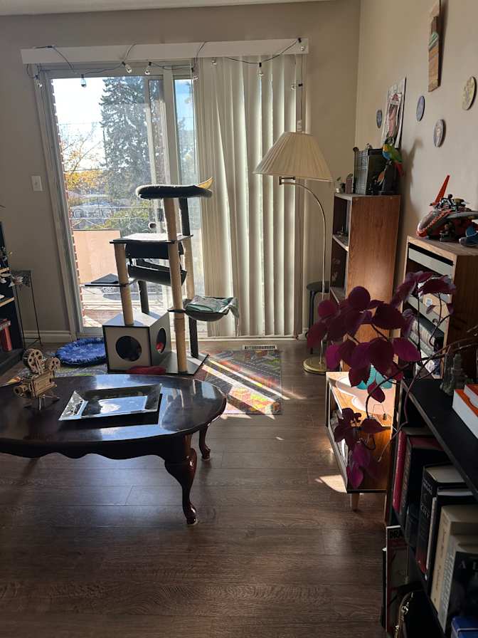 Photo of Fiore's room