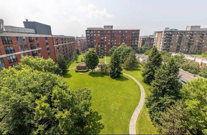 Anika Bahadur's room