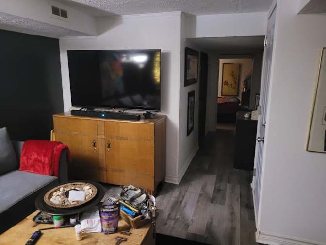 Photo of Dog person ❤️'s room