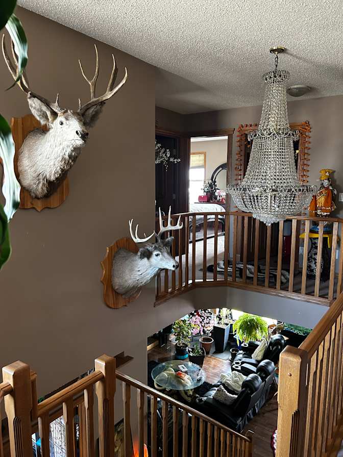 Nalini Prasad's room