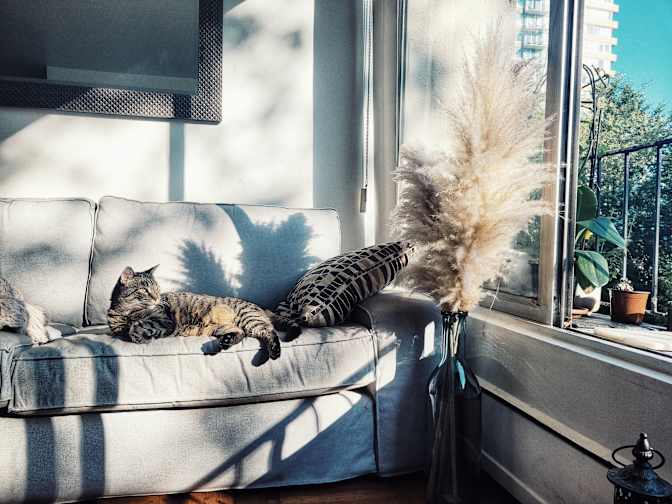 Sofia Reznitsky's room