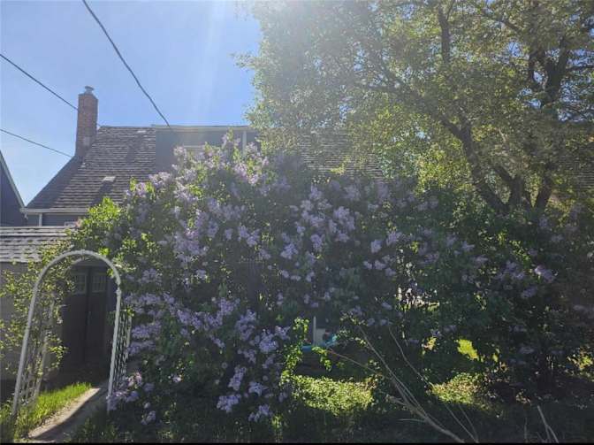 Photo of Lisa's room