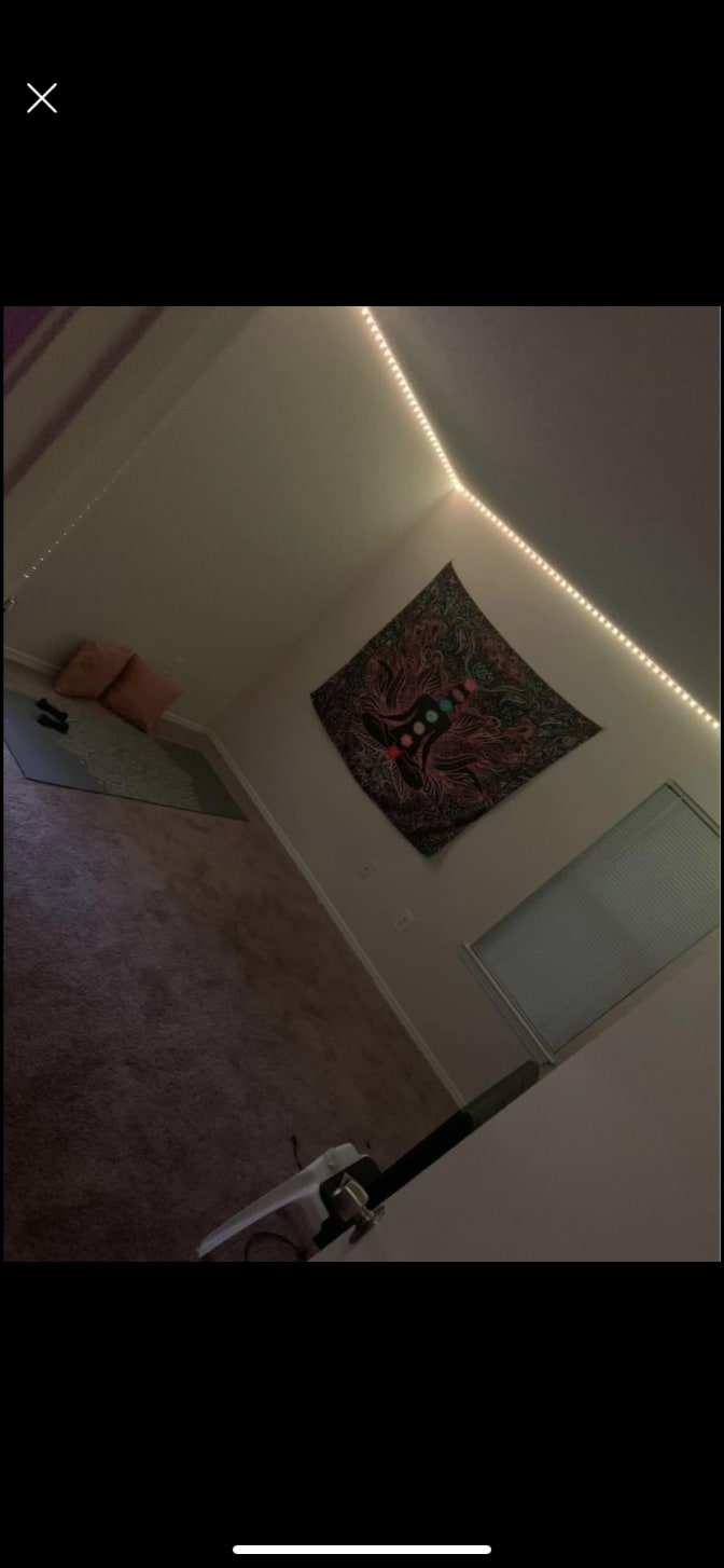 Photo of Remy's room