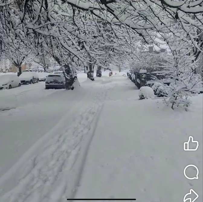 Photo of Danielle's room