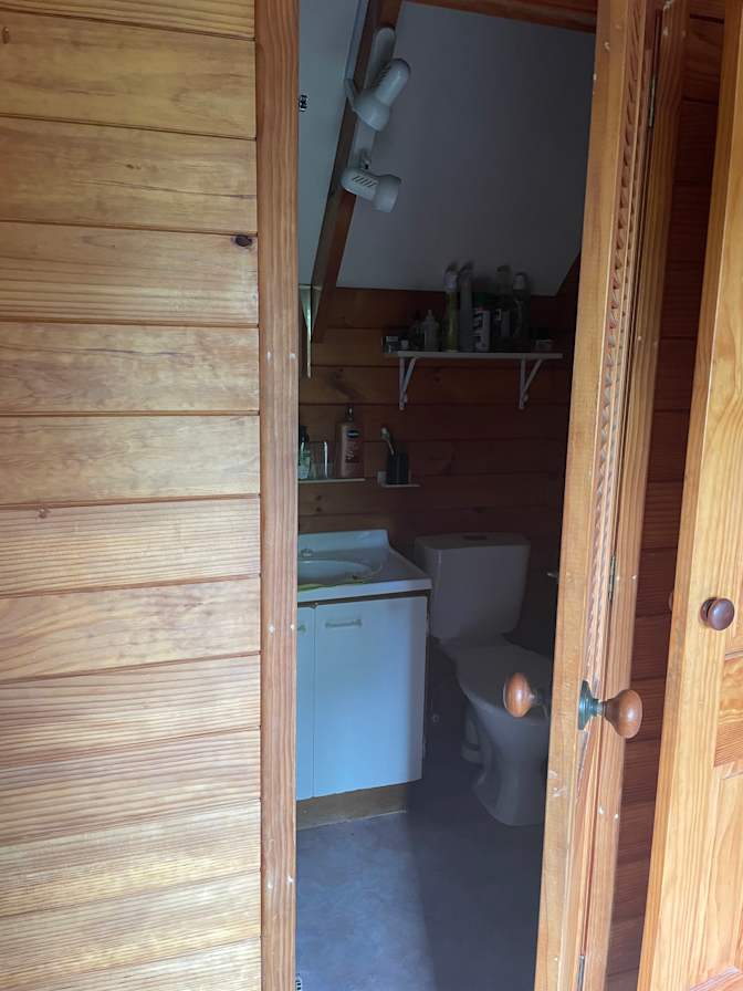 Photo of Elizabeth Dreyer's room