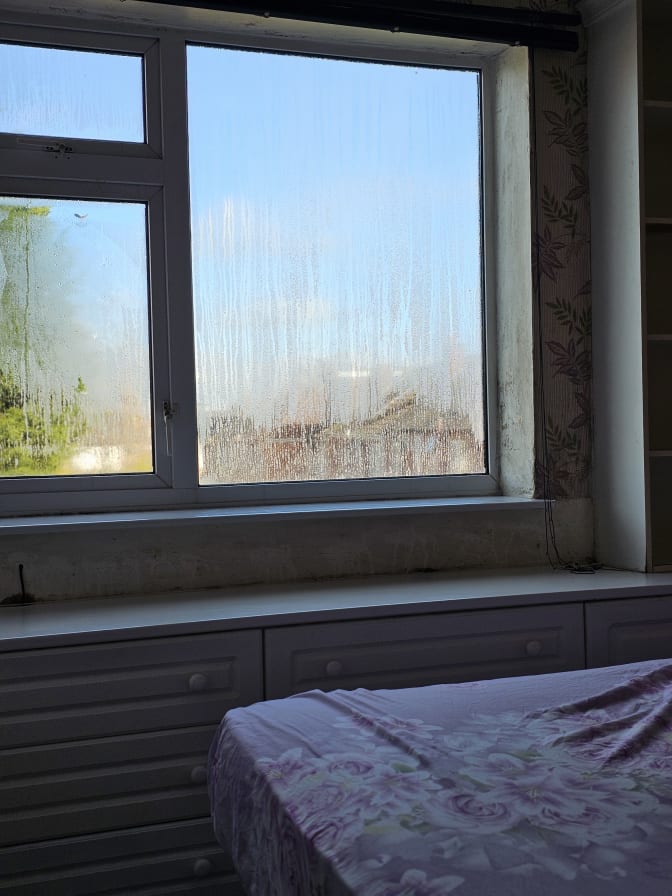 Photo of Sinto's room
