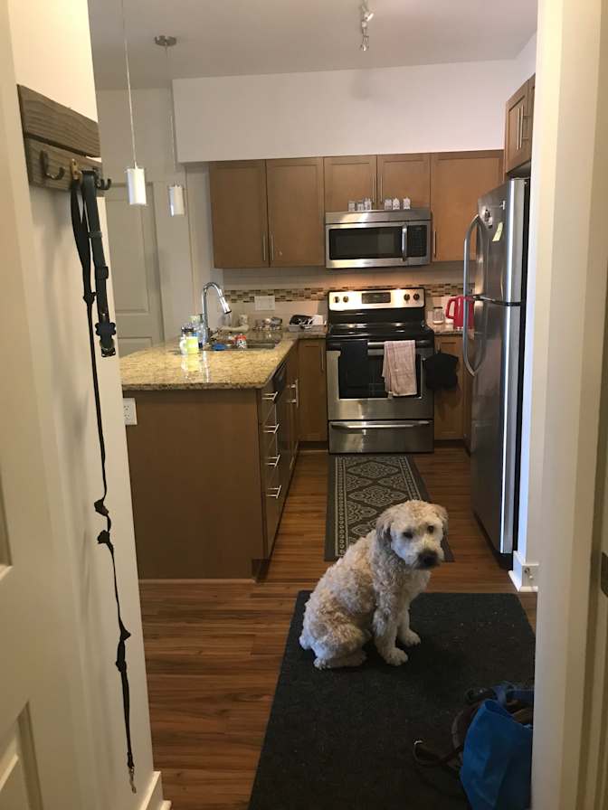 Photo of Ashley's room