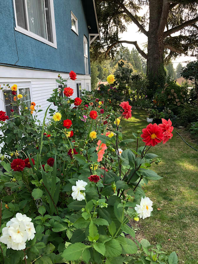 Photo of Annie Dalayon's room