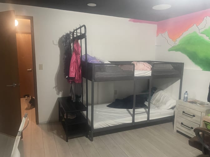 Kinsley Pearen's room