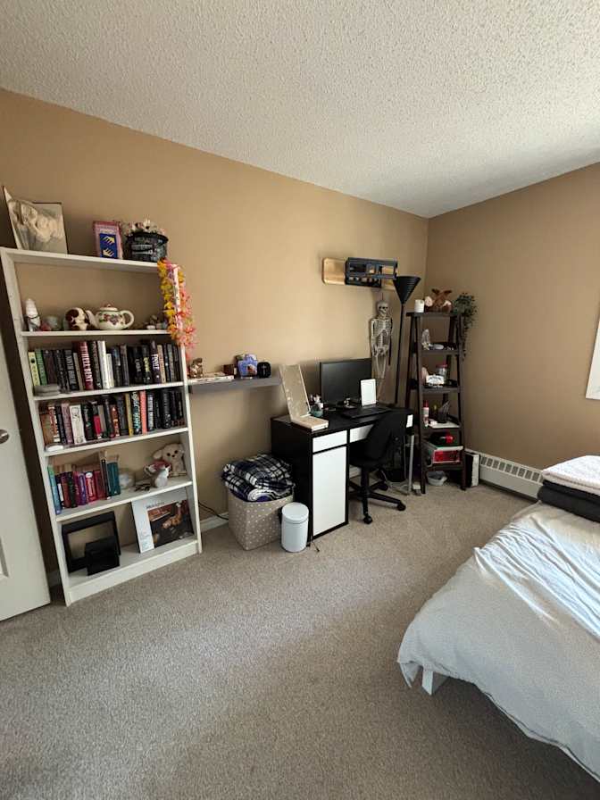 Anneliese Yanota's room