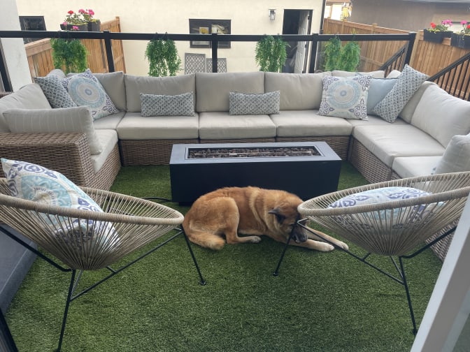 Shannon Smyth's room