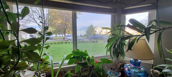 Photo of David's room