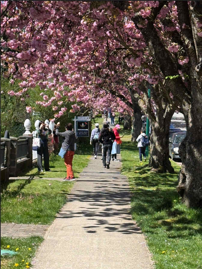 Photo of Danielle's room