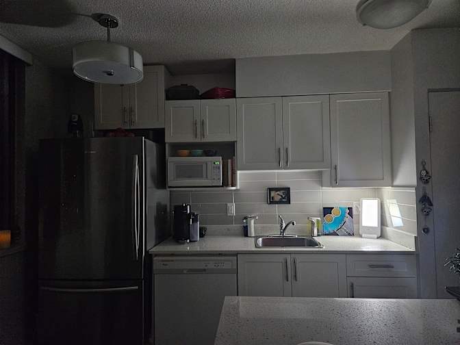 Photo of Colette's Micro-Lounge's room