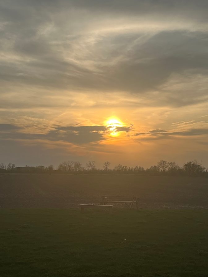 Lynne meloche's room