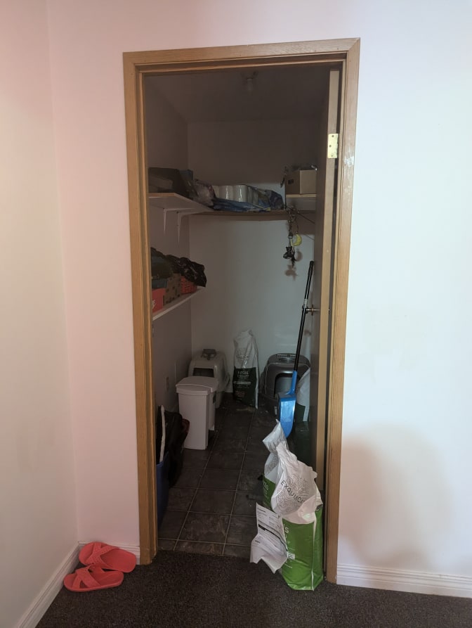 Photo of Sophie Moon's room