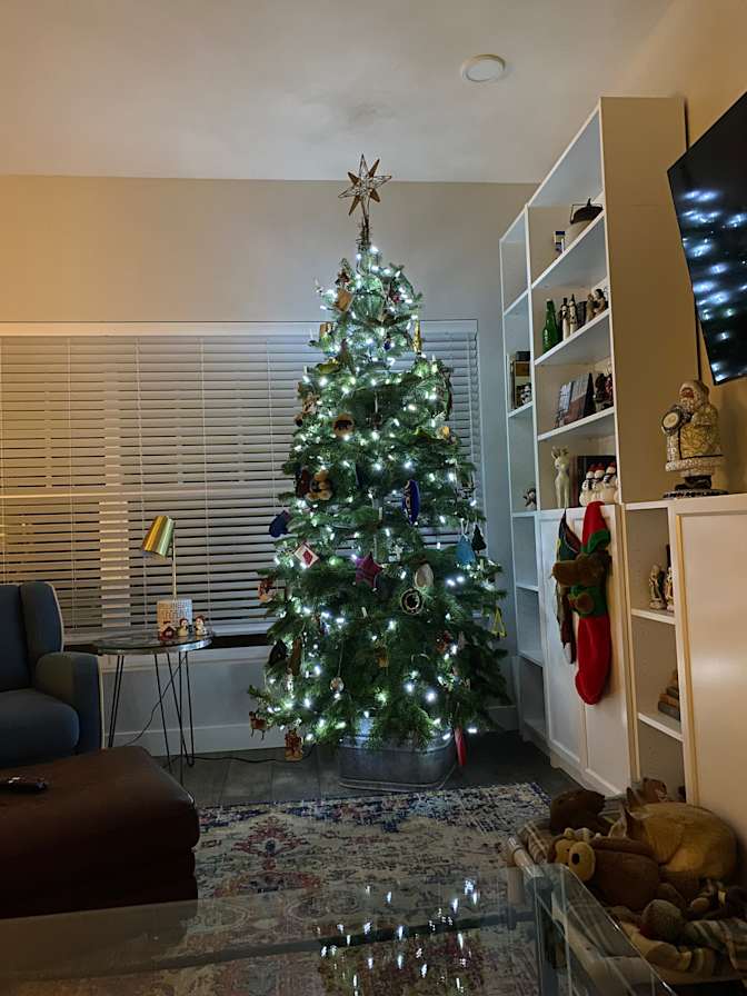 AychelRentals's room