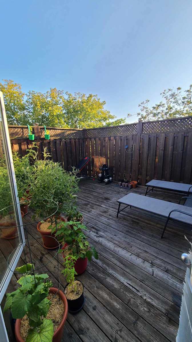 Damiao Melo Fernandes's room