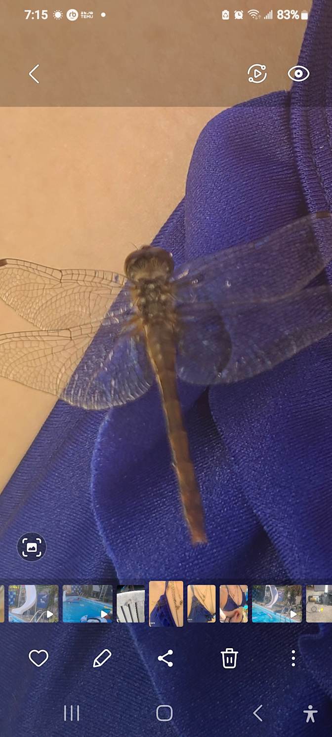 Lloyd R Clarke's room