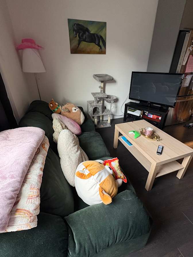 Photo of Runa's room