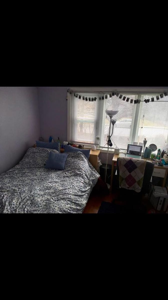 Photo of Ali's room