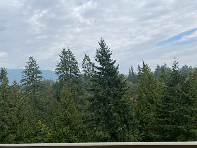 Photo of Sepideh's room