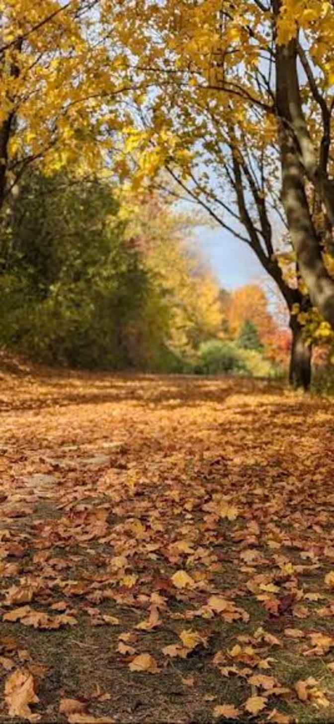 Photo of Dawn's room