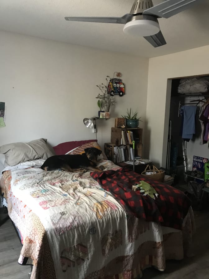 Photo of betty's room