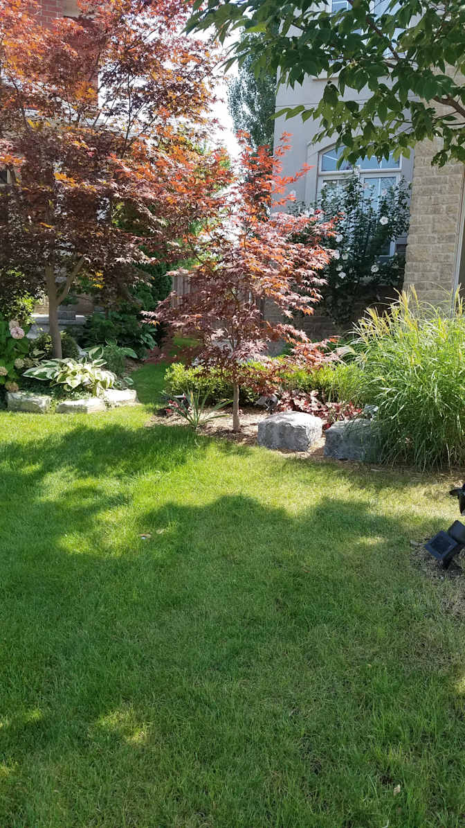 Kavesseri Raja's room