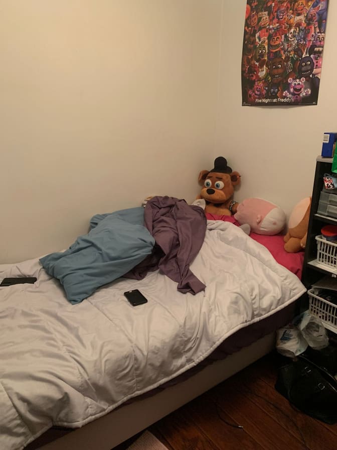 Photo of Frazeen's room
