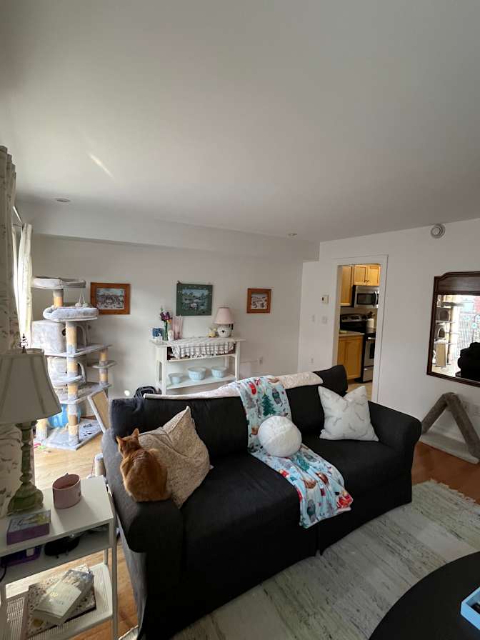 Leigha Puddester's room