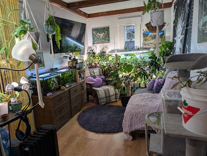 Photo of Jenna's room