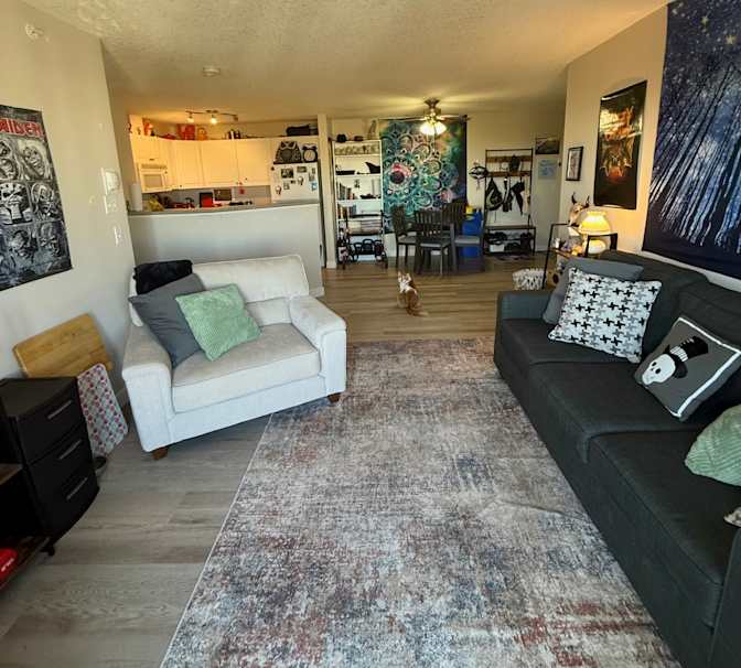 Photo of Jack's room