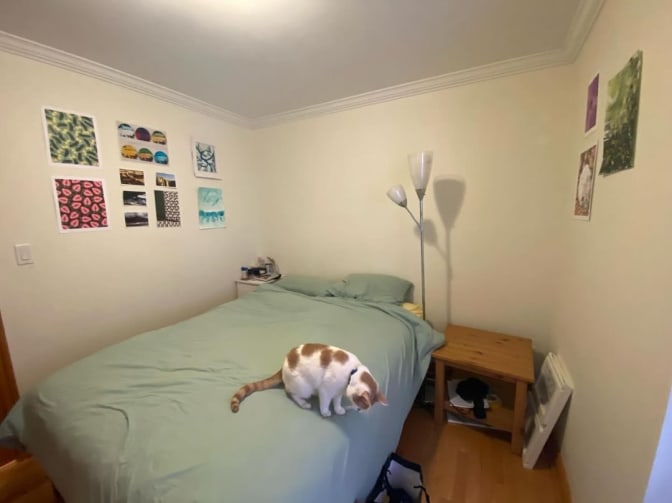 Photo of Ally's room