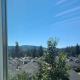 Photo of Vancouver Island View