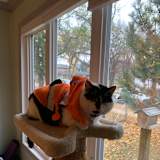 Photo of Chloe