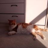 Photo of dee figueira