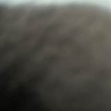 Photo of Sukh