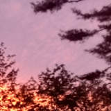 Photo of Tanya Chaisson