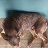 Photo of Julie