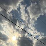 Photo of Swarali Bhide