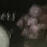 Photo of Scottdoherty