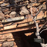 Photo of Ntebo Khutlane