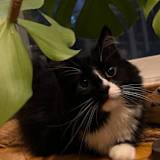 Photo of Ali