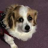 Photo of Gina