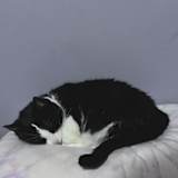Photo of Bre